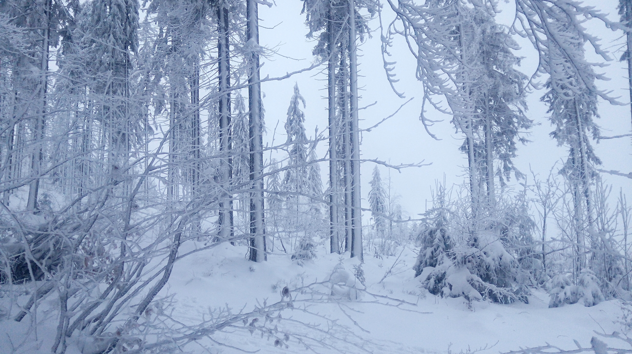 Winter - My, Longpost, Poland, Living abroad, Work abroad, Travels, Winter, The photo, The mountains