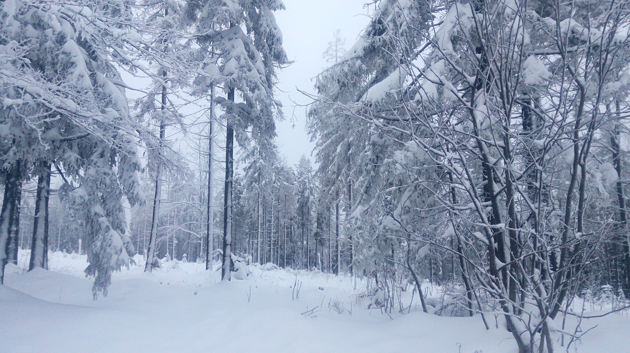 Winter - My, Longpost, Poland, Living abroad, Work abroad, Travels, Winter, The photo, The mountains