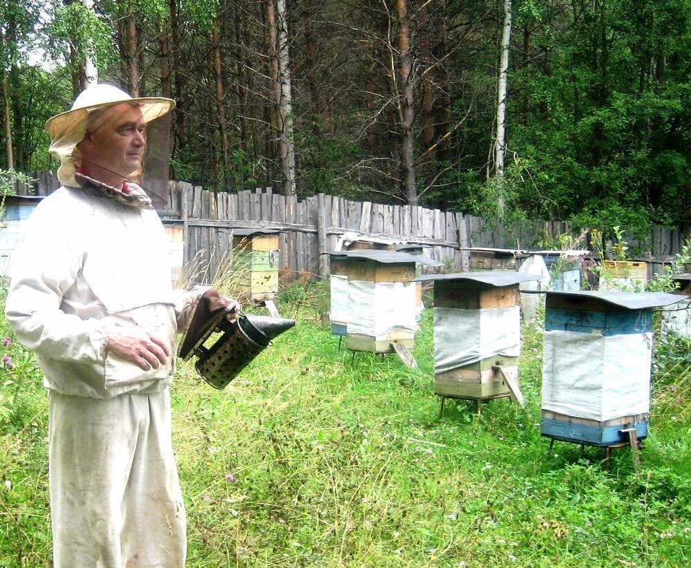 Once upon a time in the Volga region. Part 2 - My, Village, Childhood, Grandmother, Memories, Story, Real life story, Mat, Longpost