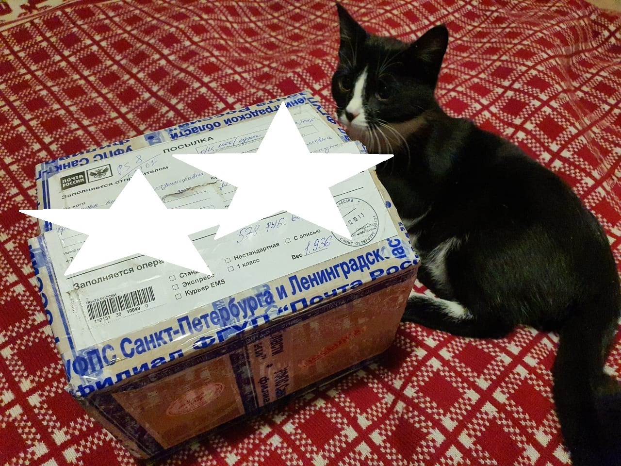 Sudden gift exchange St. Petersburg - Nakhodka - Gift exchange, Secret Santa, Gift exchange report, cat, Longpost