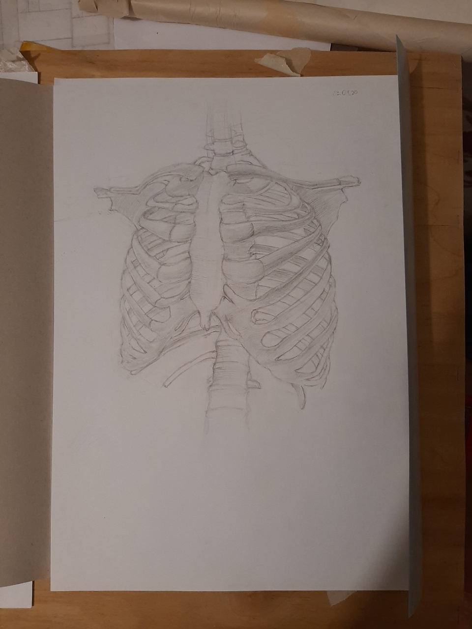 Ribs - My, Skeleton, Edge, Pencil drawing, Drawing