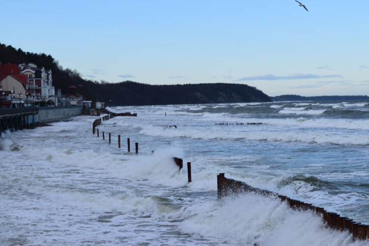 I went out for a walk for the first time since the 31st :) - My, New Year, Sea, Longpost