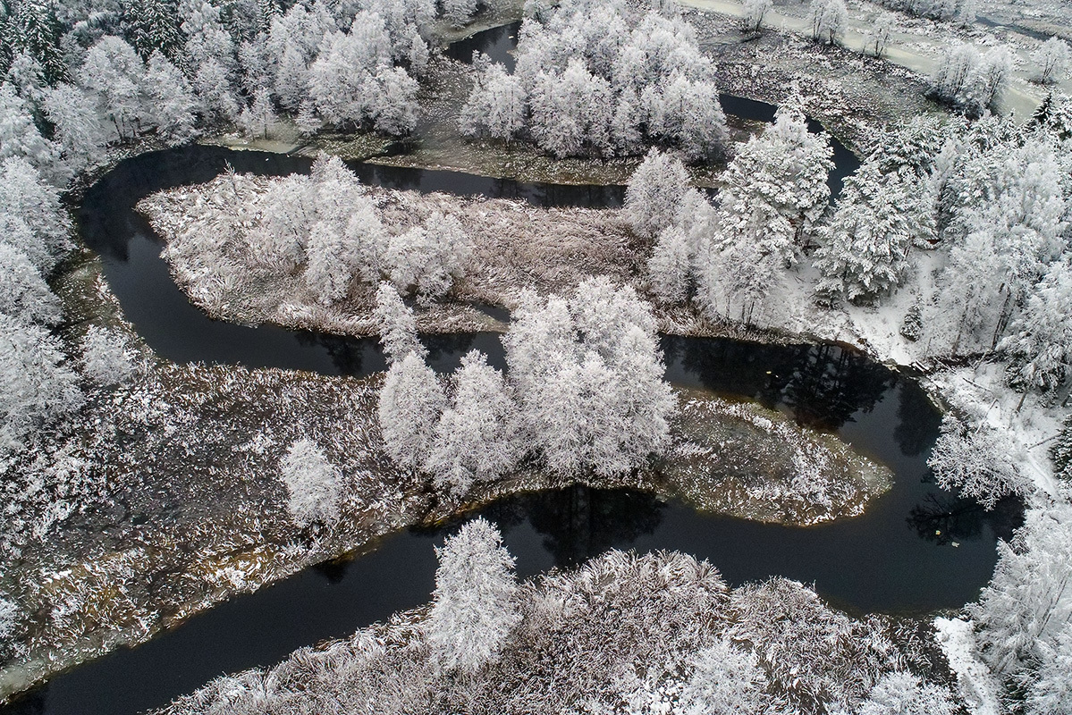 Belarus. Reserve Krasny Bor - Republic of Belarus, Krasny Bor, Nature, The photo, Longpost