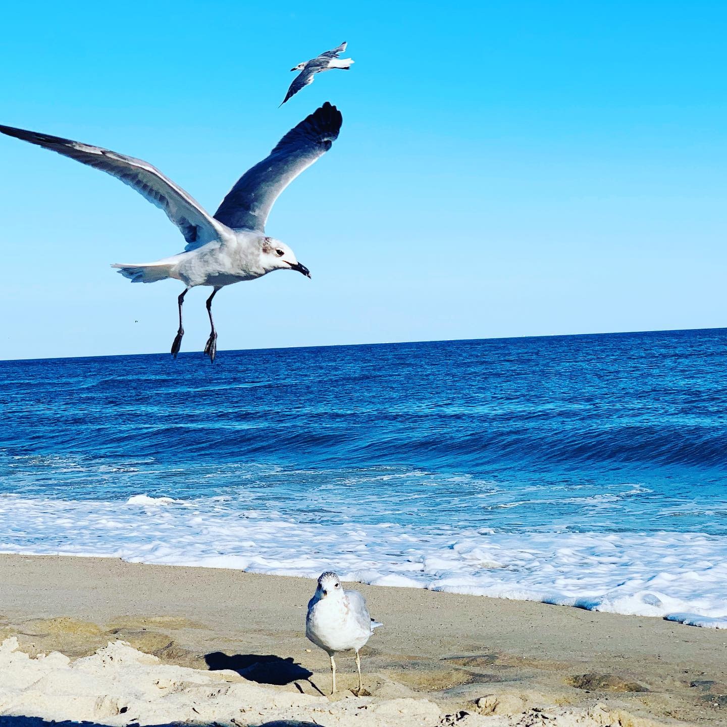 Atlantic Ocean. Beach - My, Beach season, Atlantic Ocean, New York, Summer, 2019, The photo