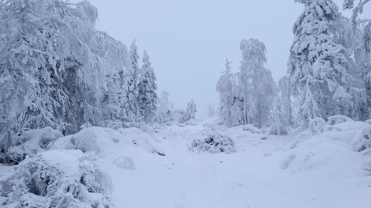 Ural Skyrim - My, Winter, Nature, The photo, Longpost, Snow, Forest