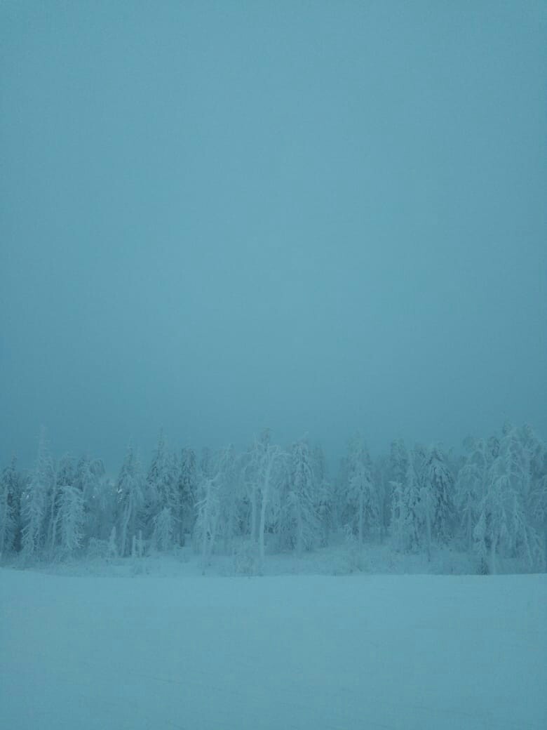 Ural Skyrim - My, Winter, Nature, The photo, Longpost, Snow, Forest