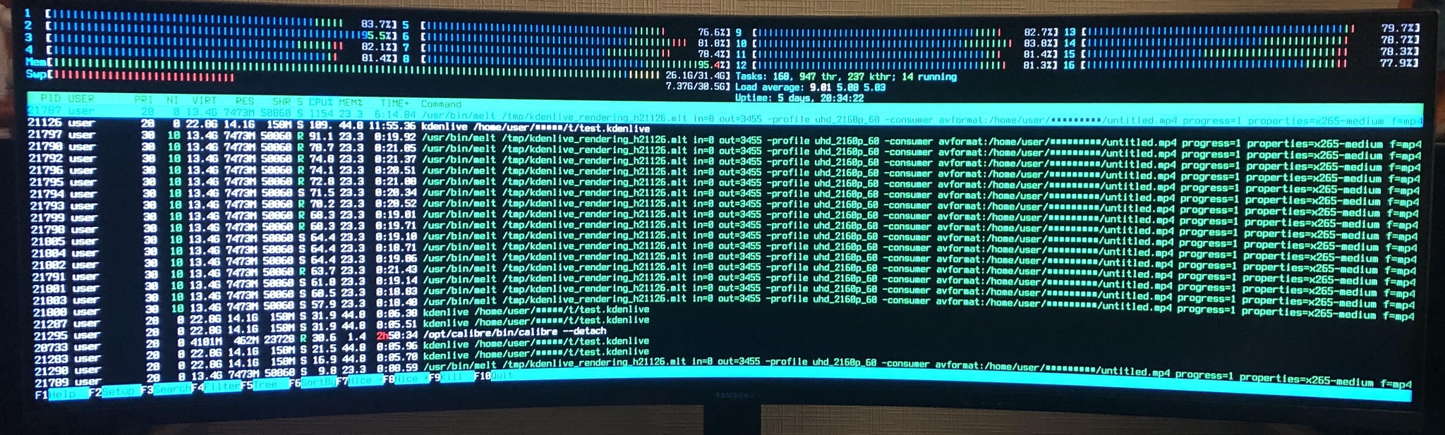 Htop looks like something out of science fiction on this monitor - My, Linux, Монитор, Screenshot