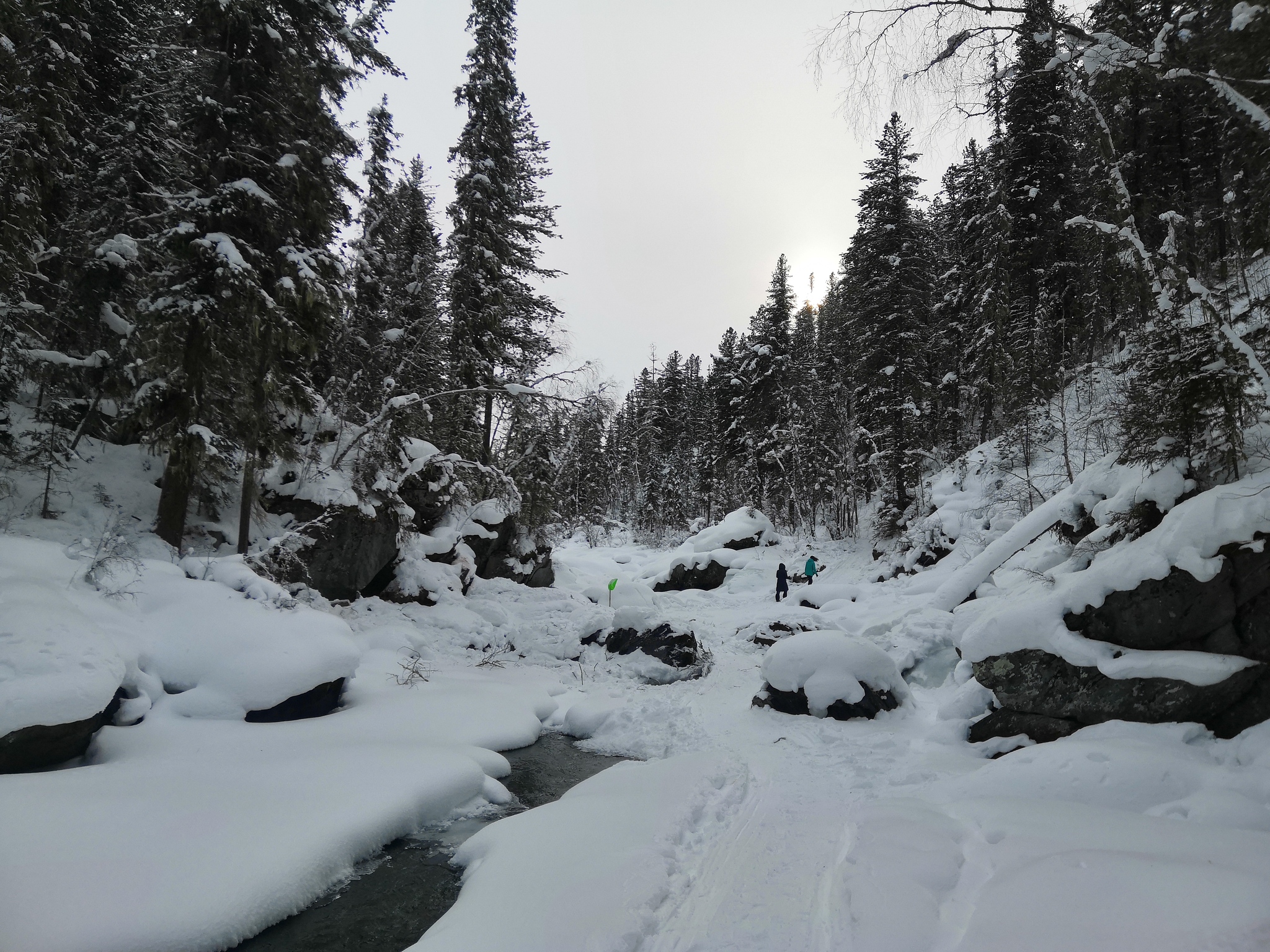 Snowmobile 3-day tour to Belukha - My, Akkem, Forest in winter, The mountains, Snowmobile, Longpost, Beluga Whale Mountain