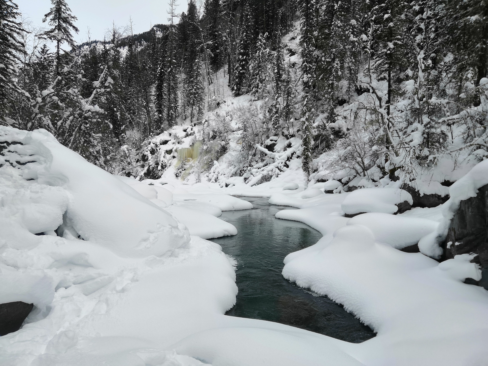 Snowmobile 3-day tour to Belukha - My, Akkem, Forest in winter, The mountains, Snowmobile, Longpost, Beluga Whale Mountain