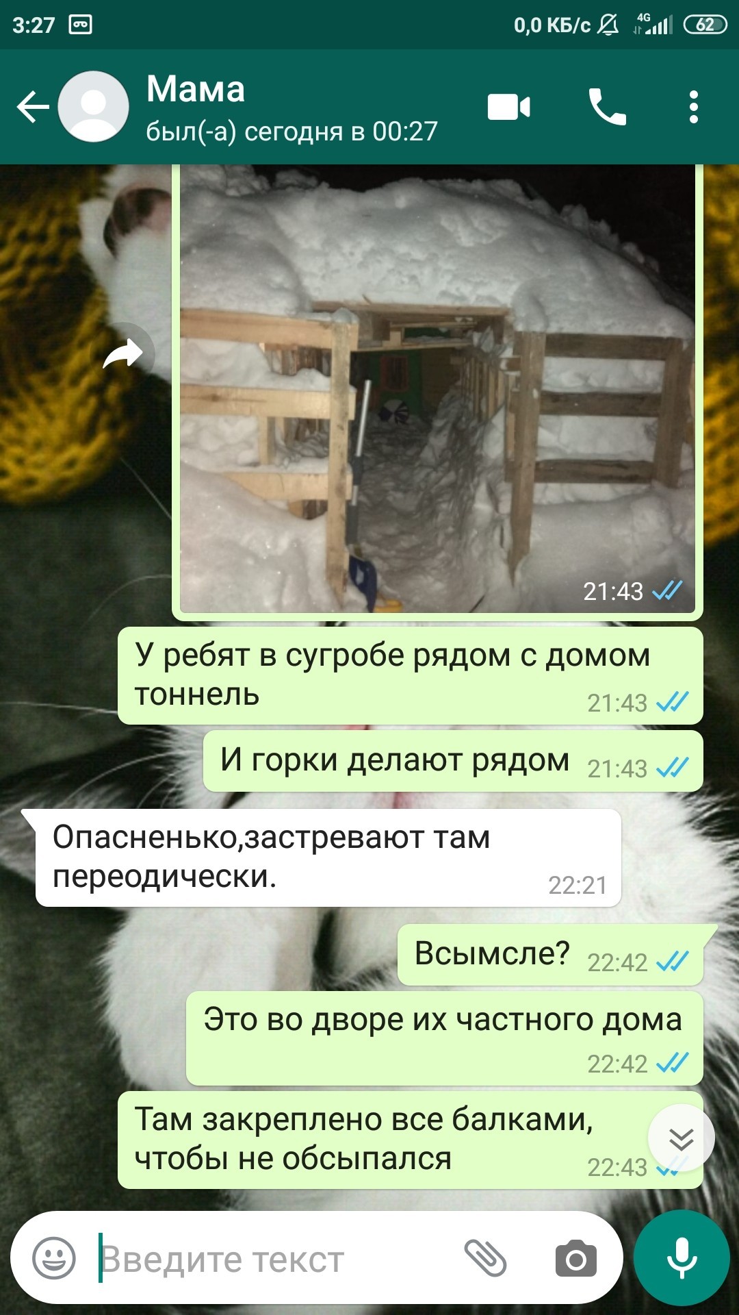 Мама и Whatsapp | Пикабу