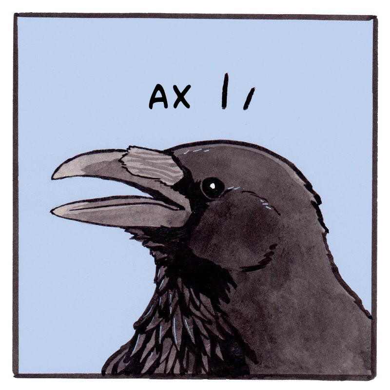 Бедный, бедный Дэнни - Falseknees, Комиксы, Перевод, Ворона, Ворон, Длиннопост