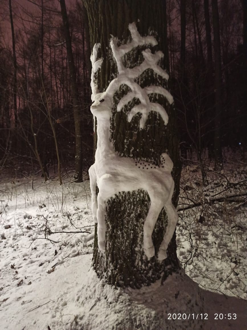 Deer! - My, Deer, Tree, Longpost, Snow