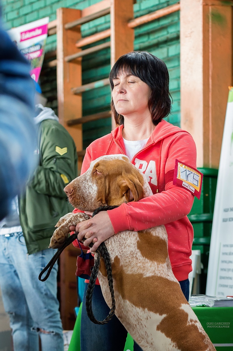 The first publication in the New Year is another series of reportage photographs from dog shows in the South of Russia. Enjoy watching and good mood - My, Dog, Dog show, Dogs and people, Dog lovers, Dog days, Animalistics, Longpost