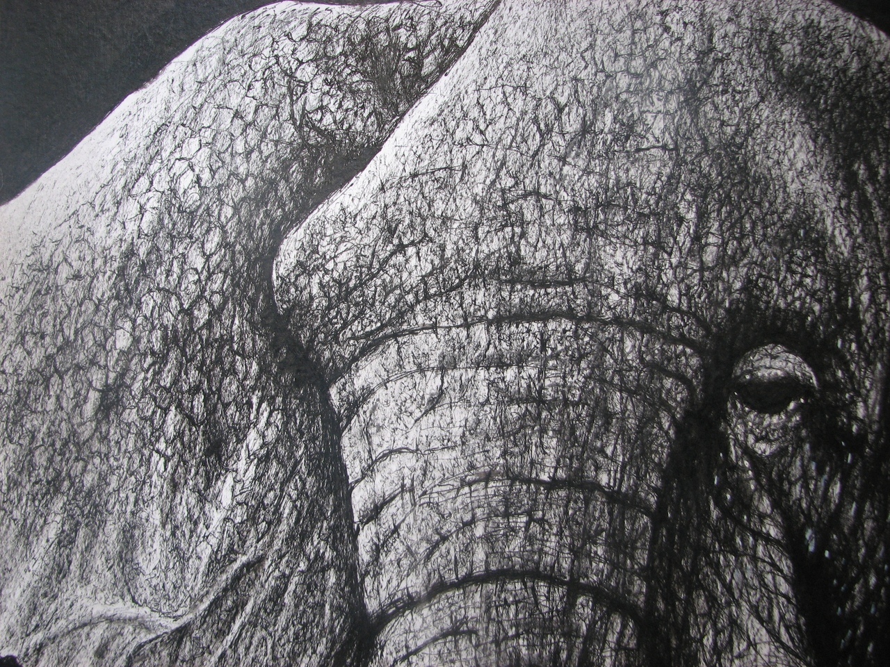 Elephant, graphics with gel pen - My, Graphics, Pen drawing, Elephants, Longpost