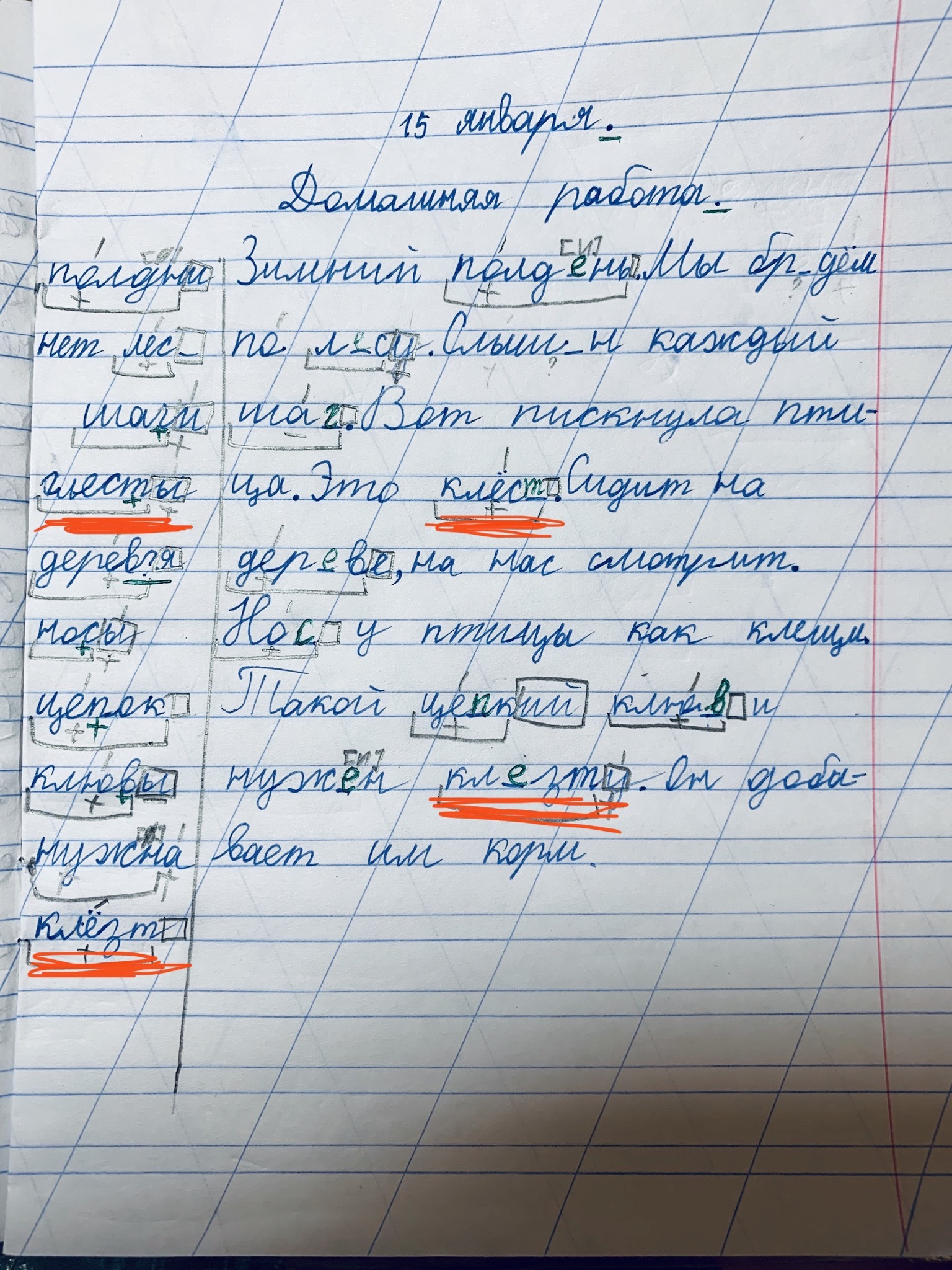 When a child does not know that a crossbill is such a bird - My, School, elementary School, Russian language, Birds, Crossbill, Worms