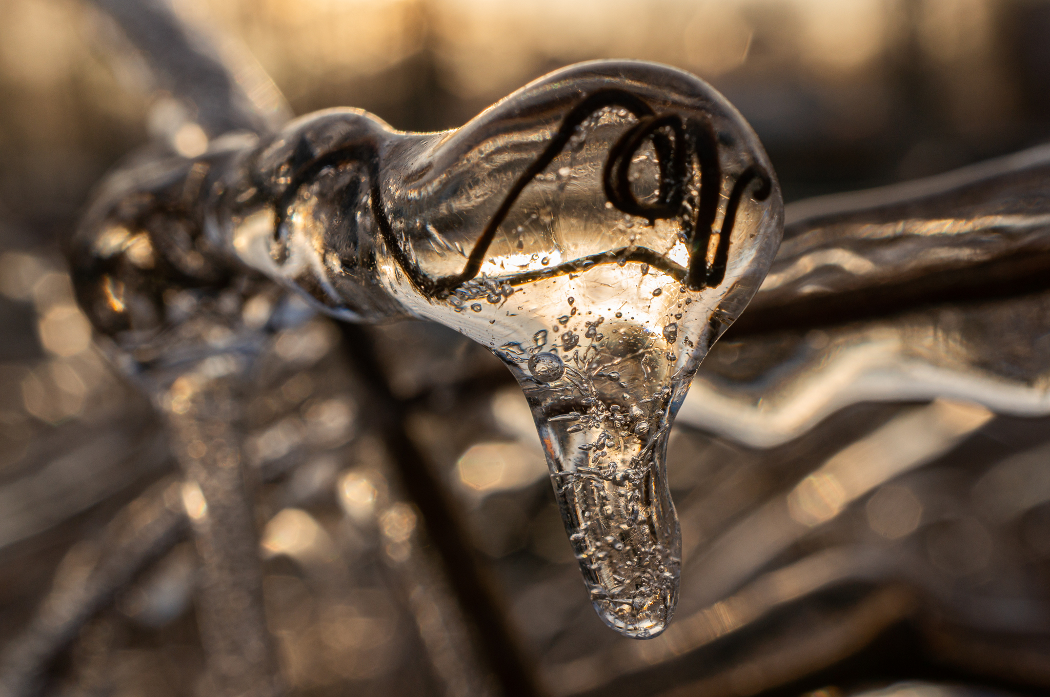 freezing rain - My, The photo, Macro photography, Ice, Winter, Longpost, Freezing rain