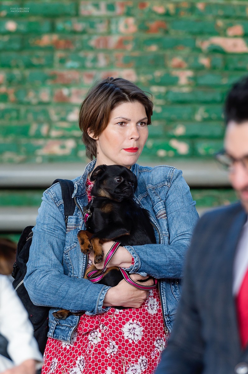 Another series of reportage photos from dog shows held in the South of Russia - enjoy viewing and good mood)) - My, Dog, Dogs and people, Dog lovers, Dog days, Dog show, Animalistics, Longpost