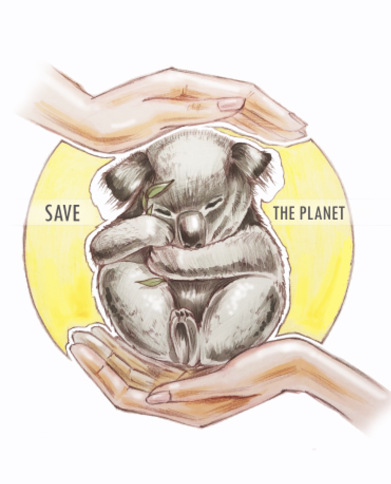 Earth, forgive me, we screwed everything up - My, Planet Earth, Ecology, Koala