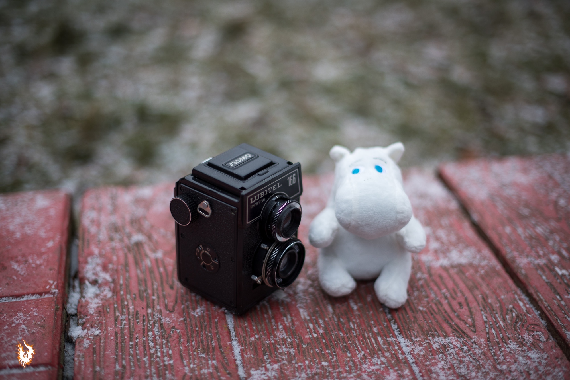 How Moomintroll and Lover went to the park - My, Amateur166, Reflex camera, Longpost, Moomin Trolls