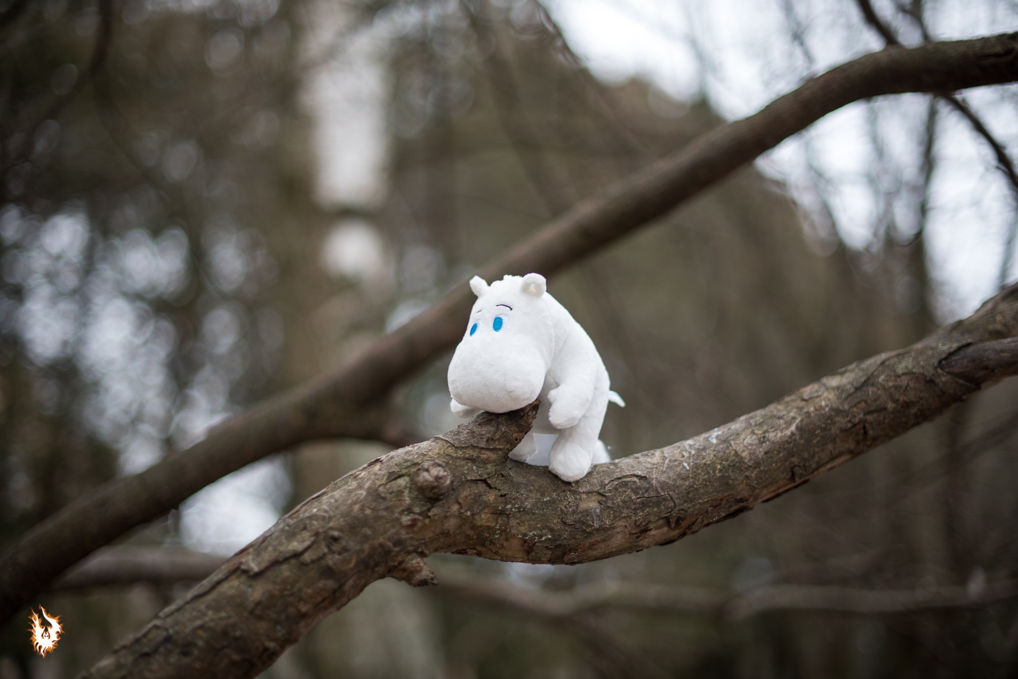 How Moomintroll and Lover went to the park - My, Amateur166, Reflex camera, Longpost, Moomin Trolls