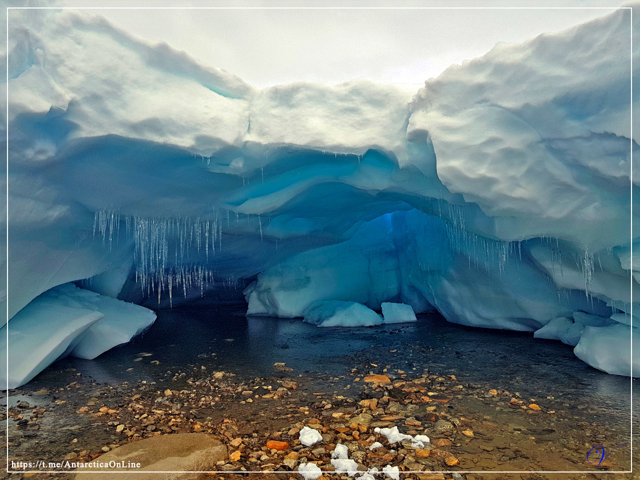 Penguins, skuas and two ice caves - My, Antarctica, Antarctica On-Line, Penguins, Skua, Oasis, Caves, Longpost