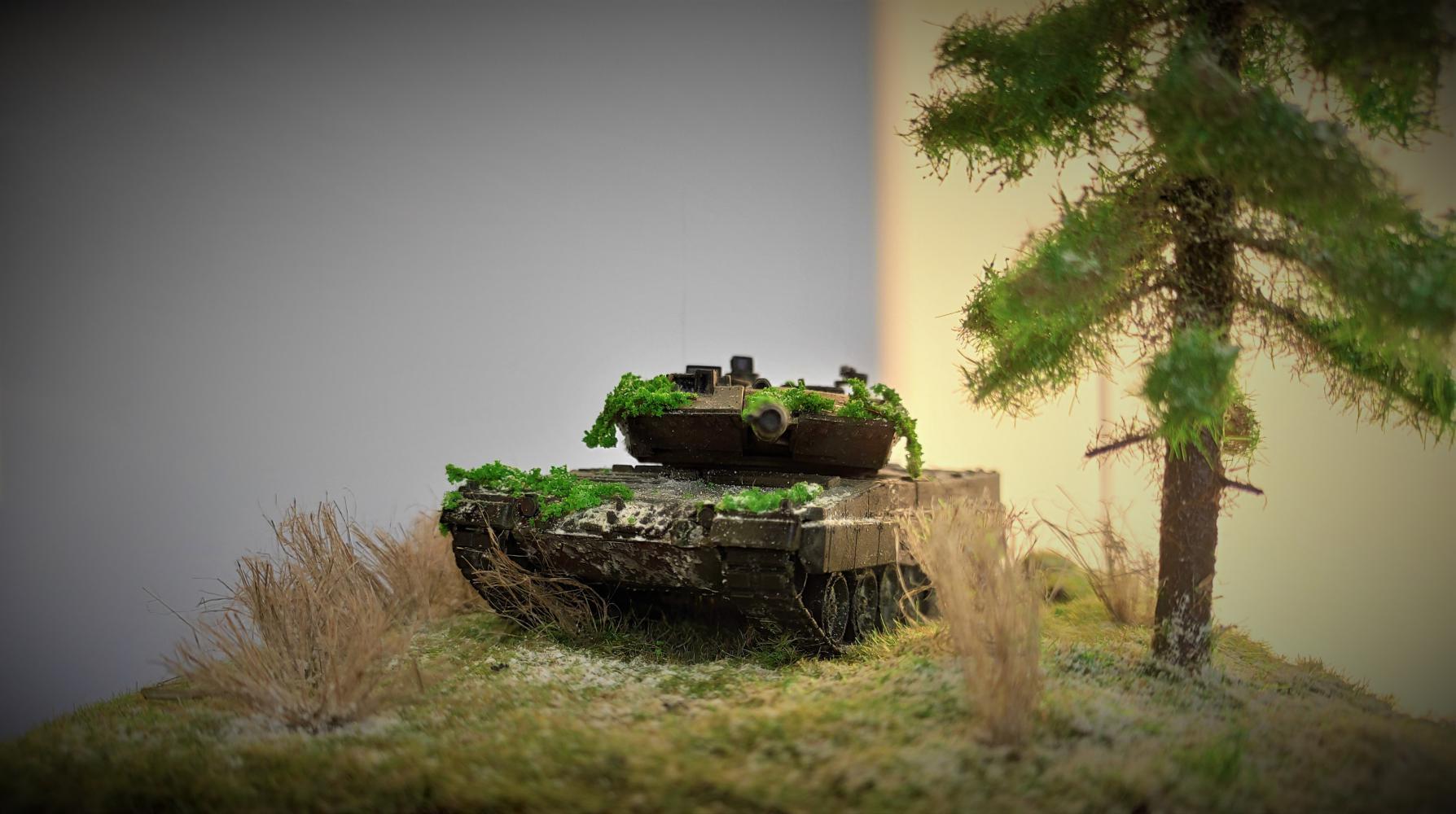 Diorama Lost... | Diorama Leopard 2a5/Is 2 - My, Diorama, IS2, Star, Revell, Video, Longpost