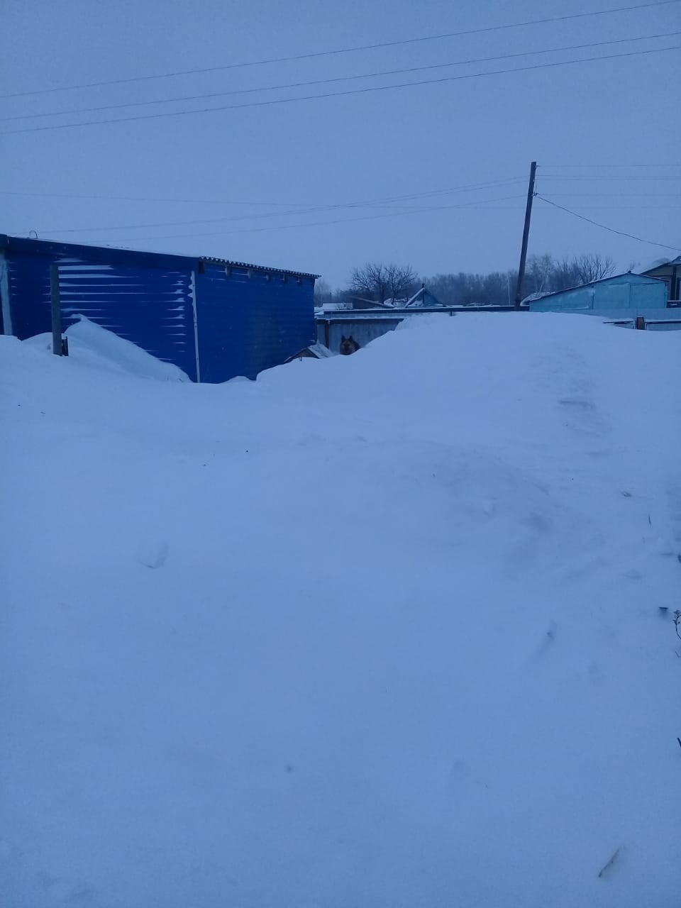 Be careful of precipitation - Winter, Snow, Work, Longpost, Altai Republic