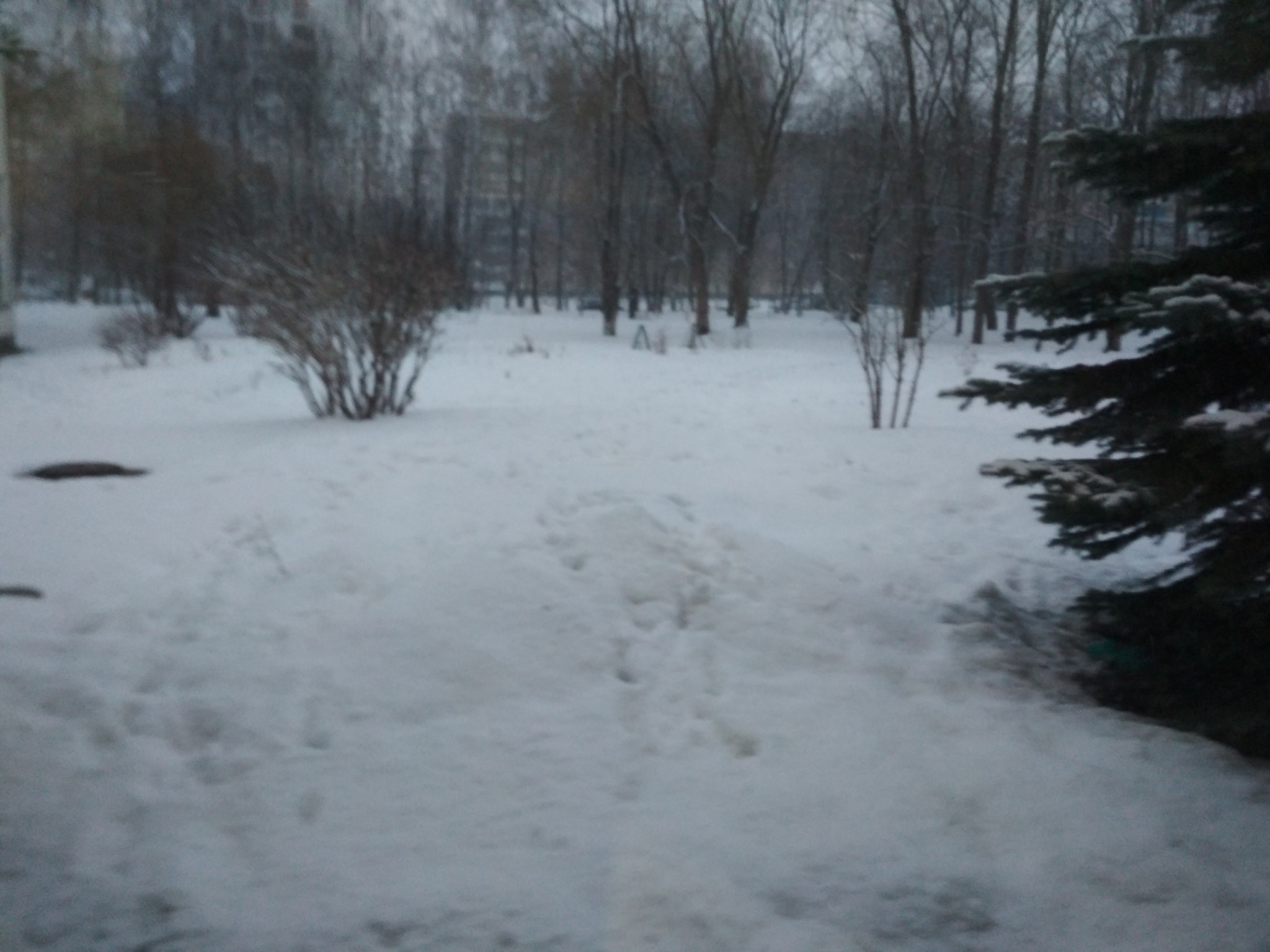 The snow is a little late, I forgot to come for the New Year) - My, Snow, Snowfall, Winter, Weather