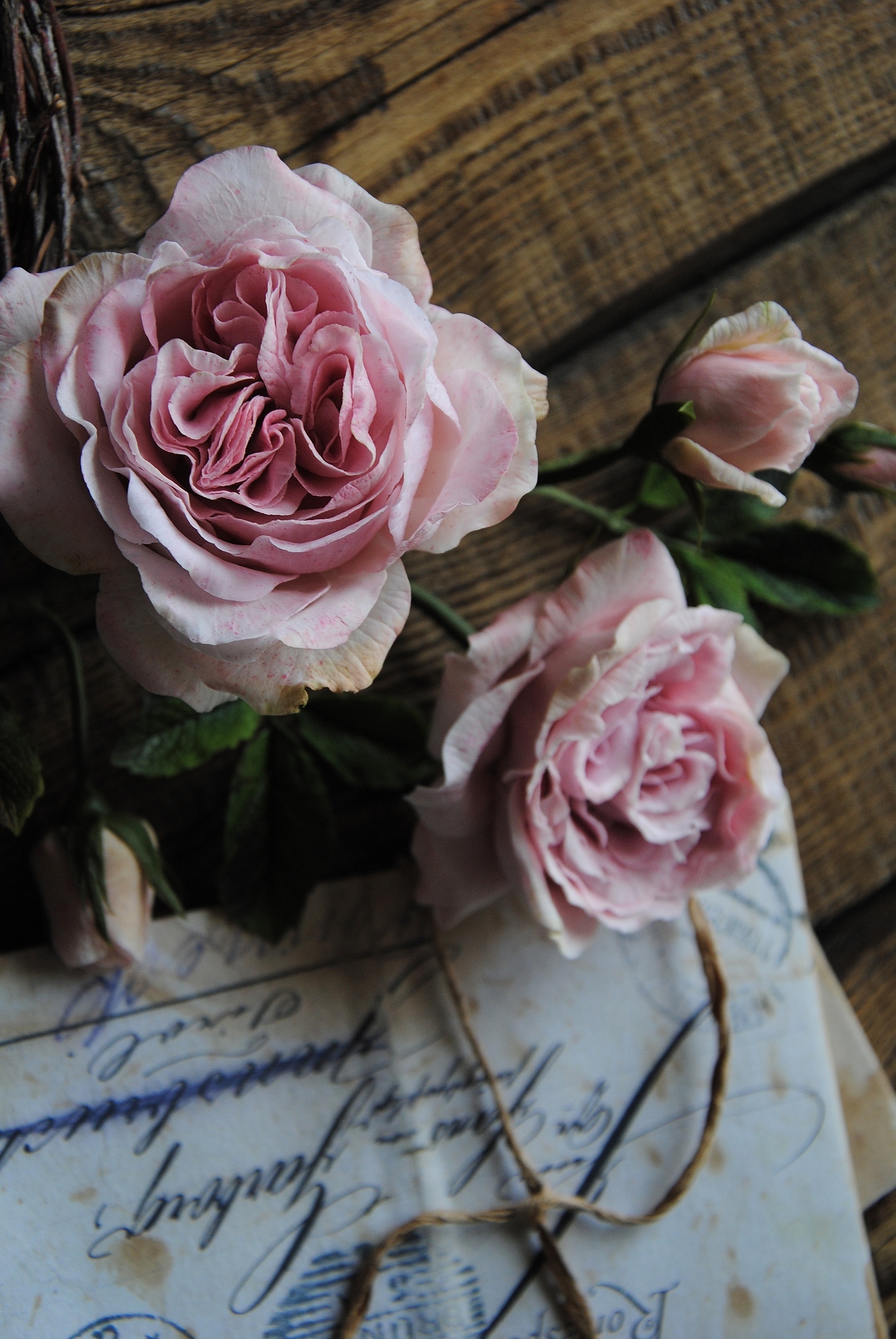 Master class: vintage English rose from cold porcelain - My, Polymer floristry, Cold porcelain, Flowers, Polymer clay, Needlework with process, Лепка, Master Class, Longpost