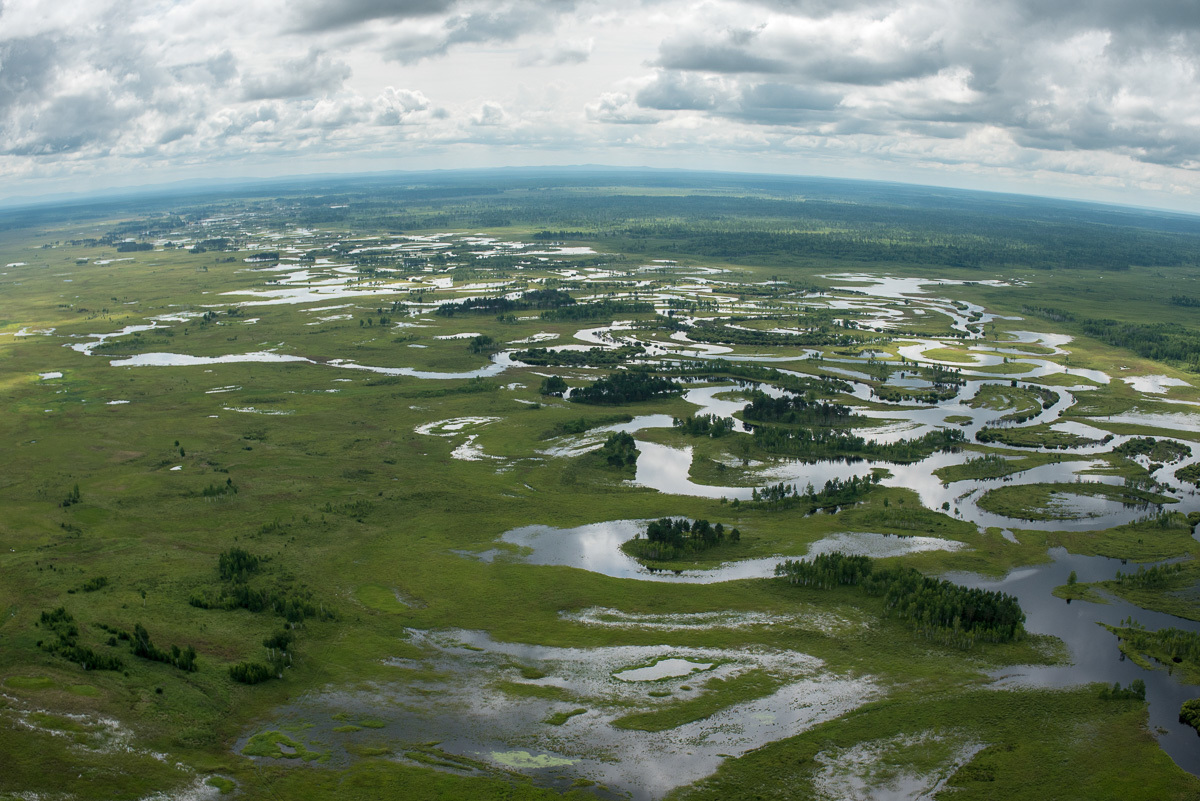 River flood - Amur region, Дальний Восток, Nature, River, Spill