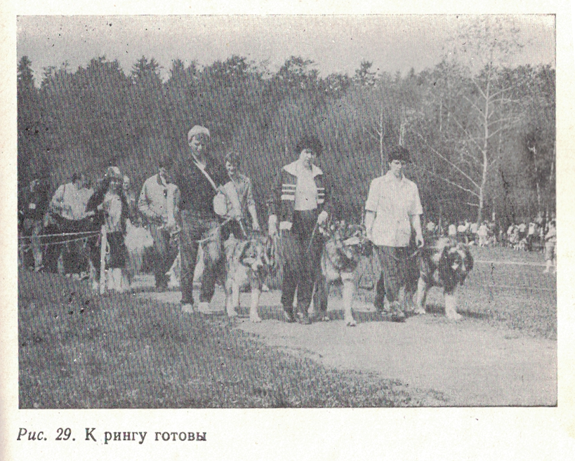 Soviet bred working dogs (1986) - Cynology, Dog, Old photo, Longpost