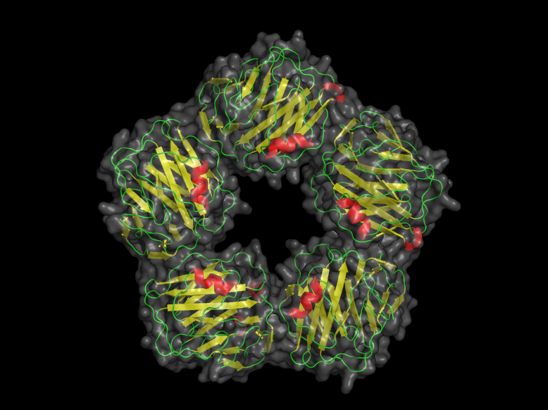 Our internal troops: innate immunity and circulating receptors - My, Immunity, Biology, Immunology, GIF, Longpost