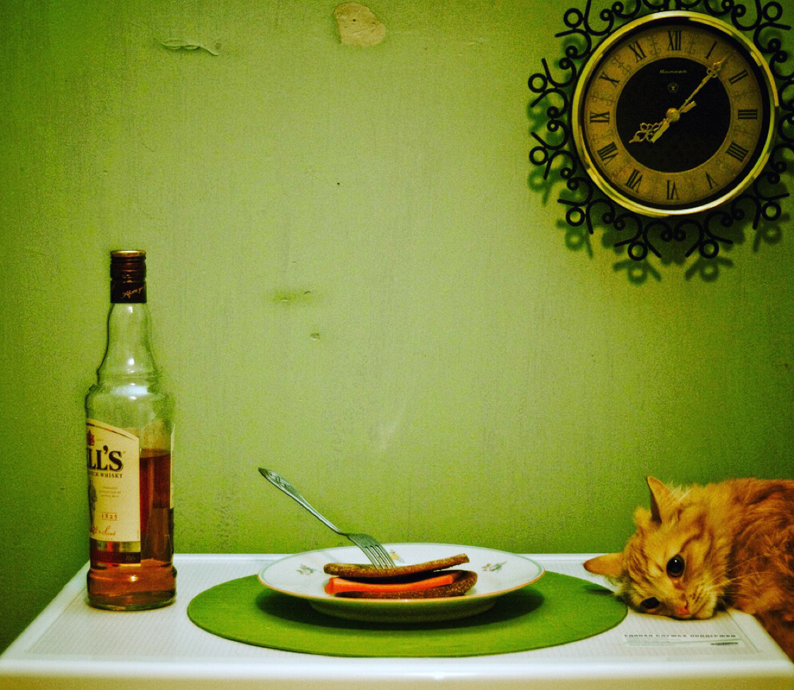 Did not come... - My, cat, Whiskey