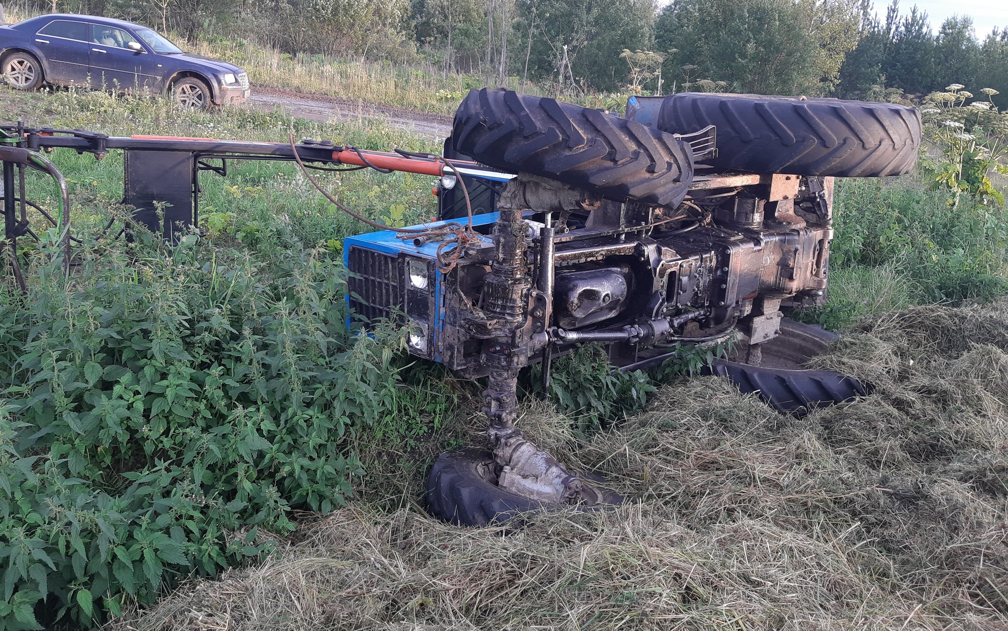 Farmer's Diary. Why is it cool to work in agriculture? - Сельское хозяйство, Hay, Longpost