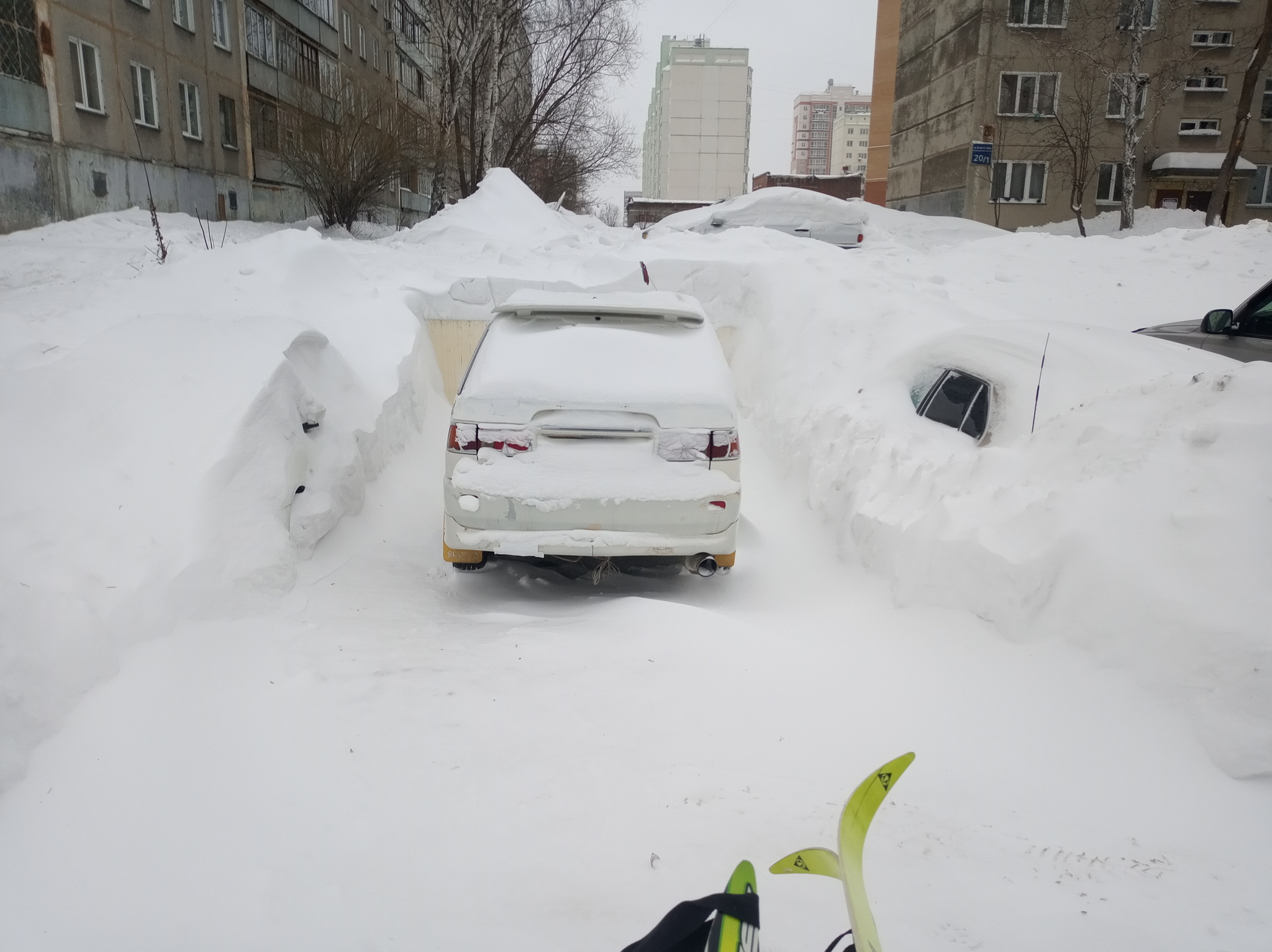 Europeans, take away the snow!!! - Snow, Snowdrift, Novosibirsk