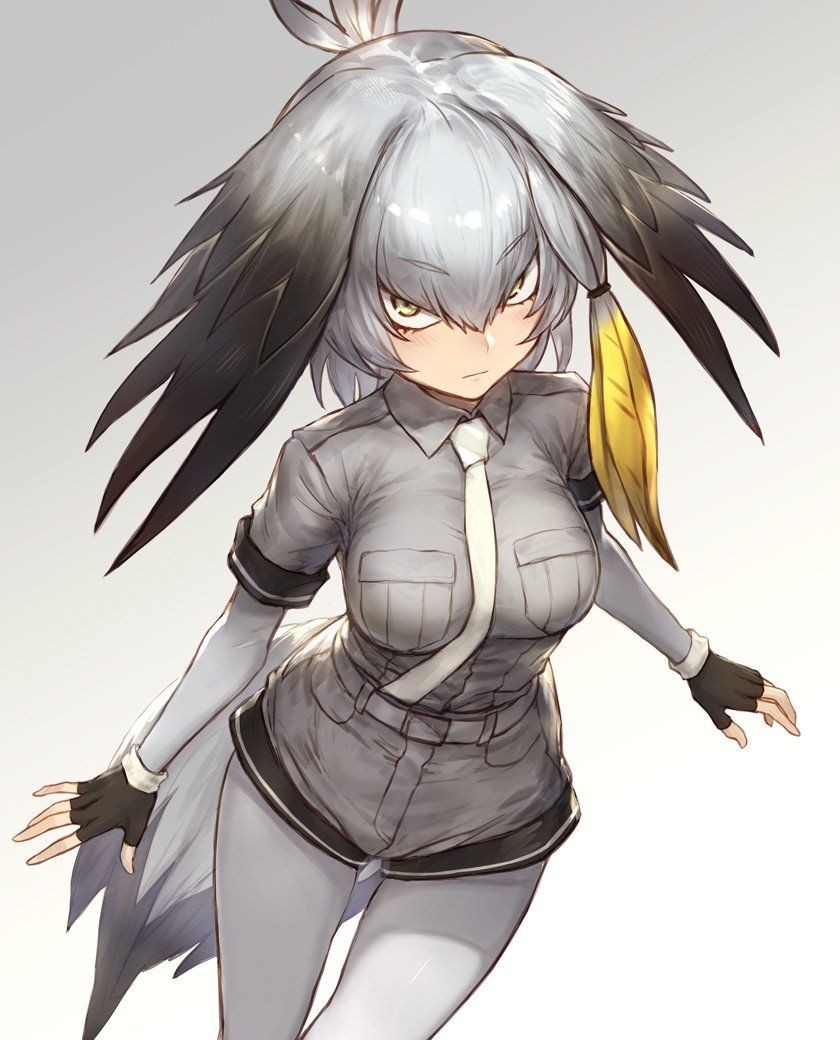 Shoebill - Anime, Anime art, Kemono friends, Shoebill, A selection, Longpost