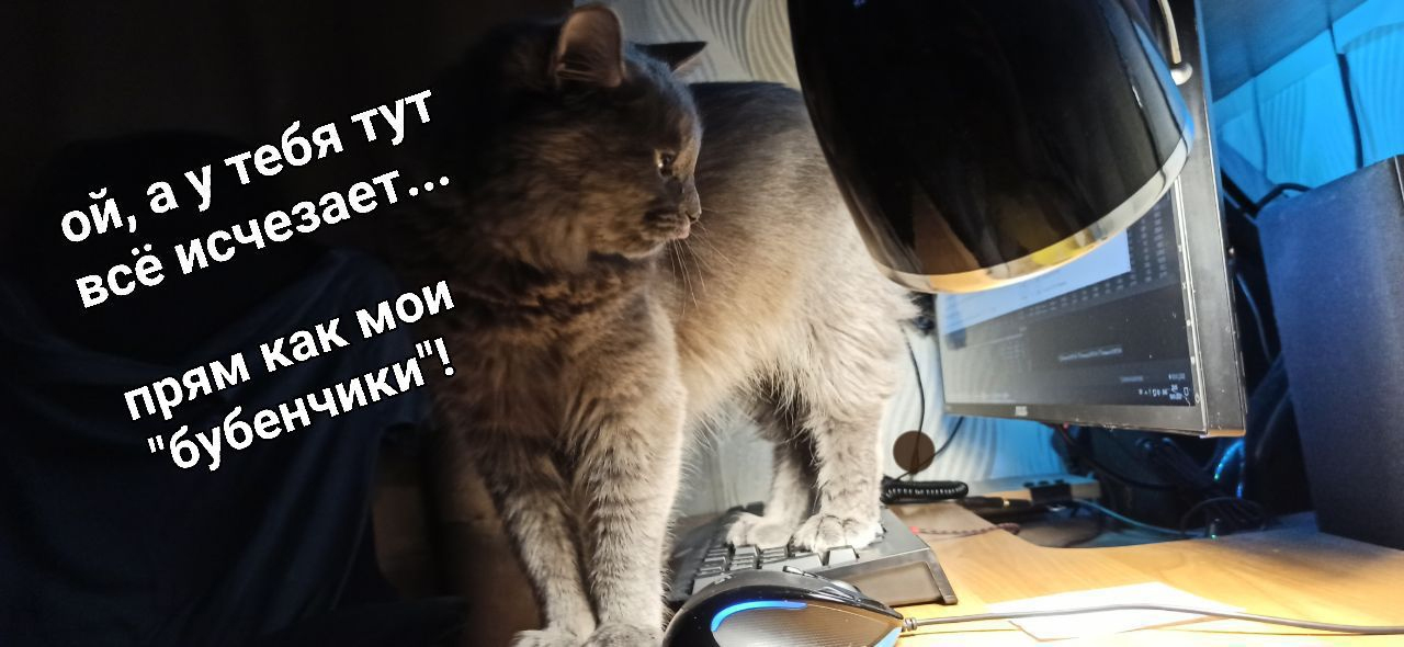 Revenge) - My, cat, Cat with lamp, Catomafia