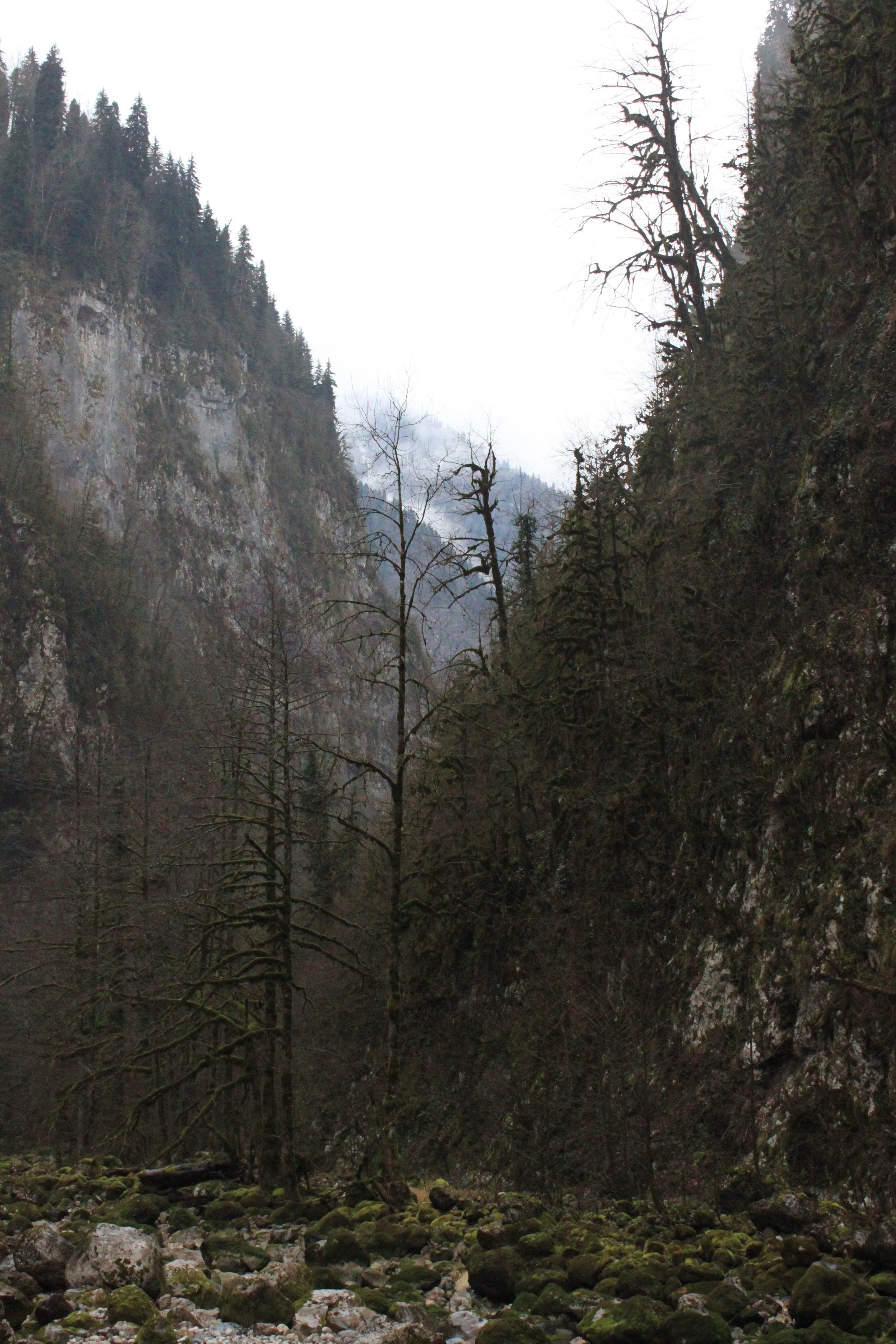 Abkhazia in winter by car - My, Abkhazia, Road trip, Longpost