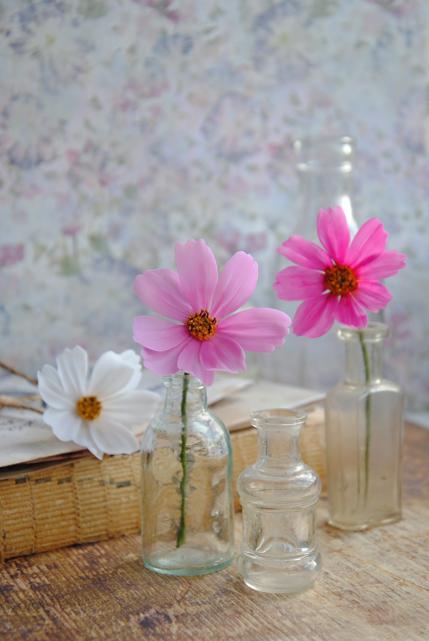 Making a cosmos flower with your own hands - My, Flowers, Needlework with process, Лепка, Longpost, Cold porcelain, Polymer floristry, Polymer clay