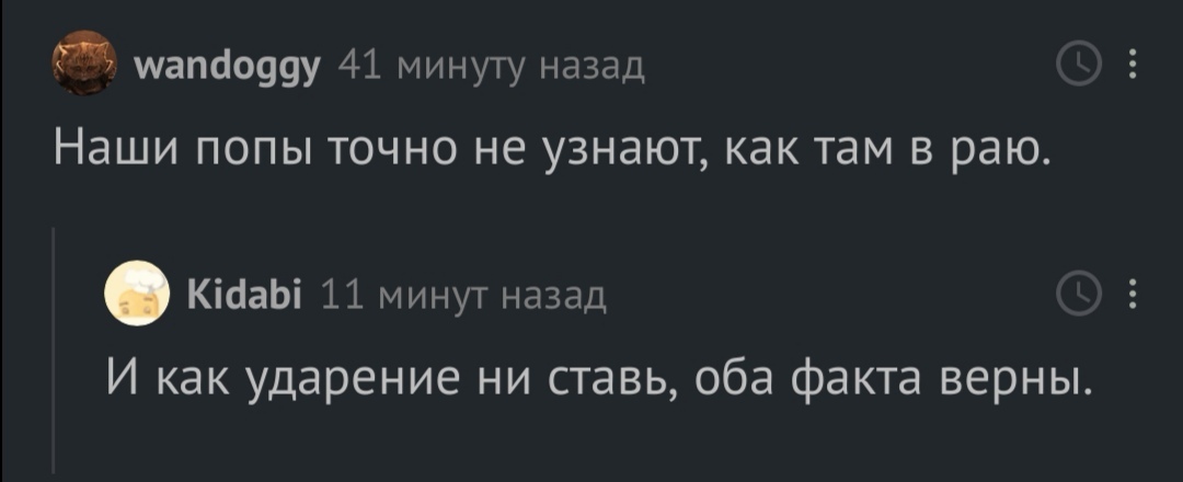 Комментарии на пикабу как всегда хороши - Скриншот, Комментарии на Пикабу, Ударение