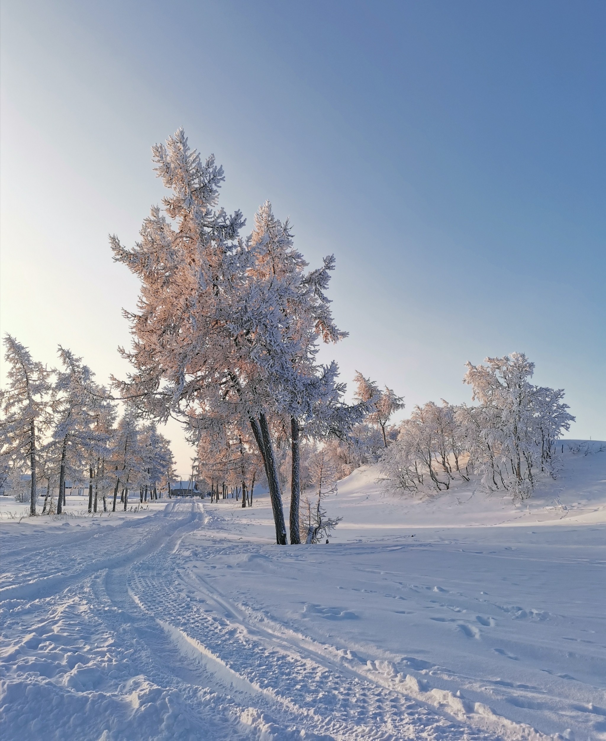 -35 Nenets Autonomous Okrug - My, freezing, Naryan-Mar, Nenets Autonomous Okrug, -35, Arctic, Longpost