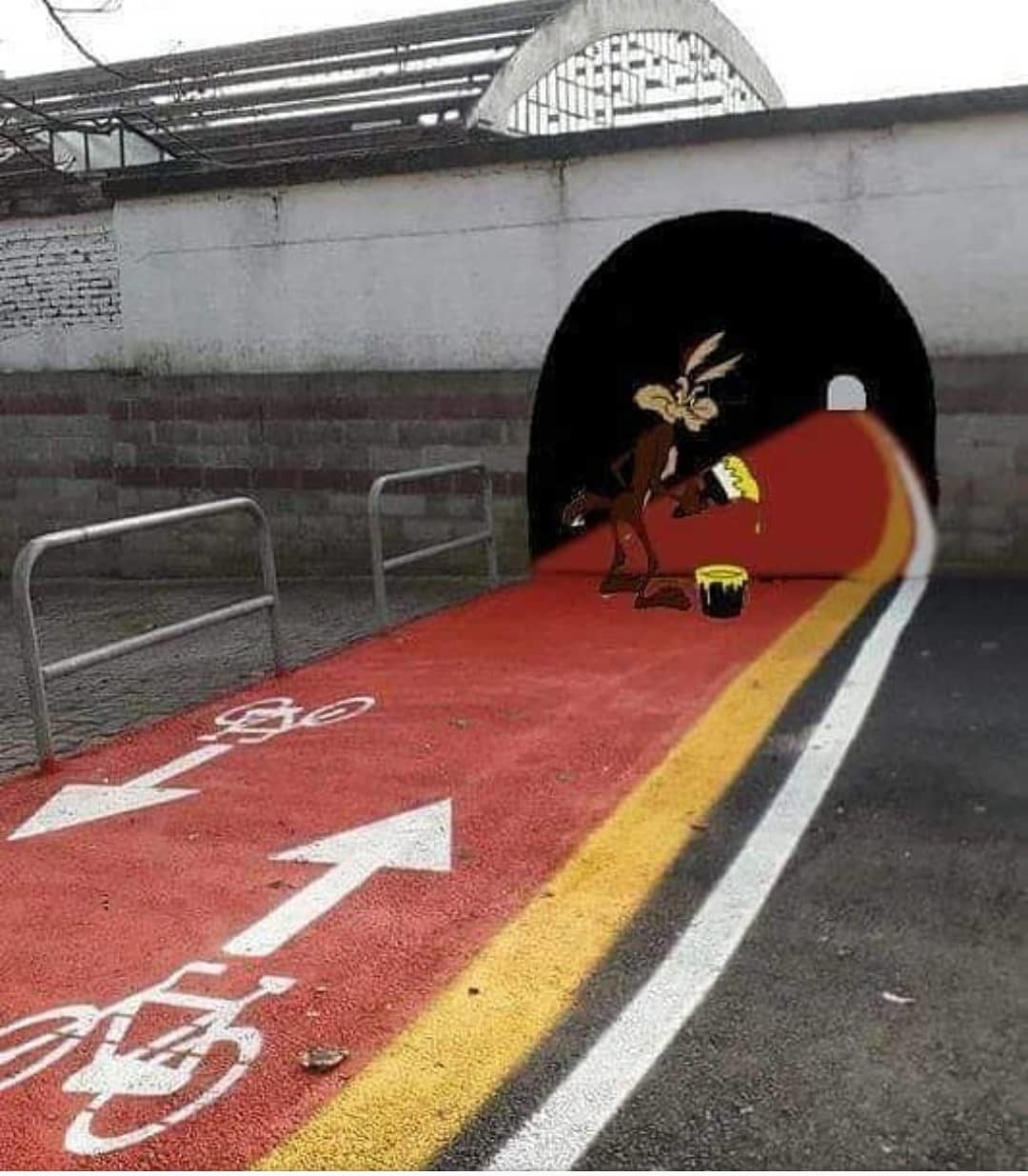 Tunnel - Tunnel, Art, The photo, Cunning Coyote and Road Runner