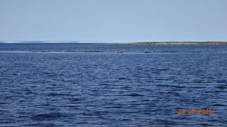 Точка отсчёта. Онежский залив Белого моря - Белое море, Русский север, Goarctic ru, Длиннопост