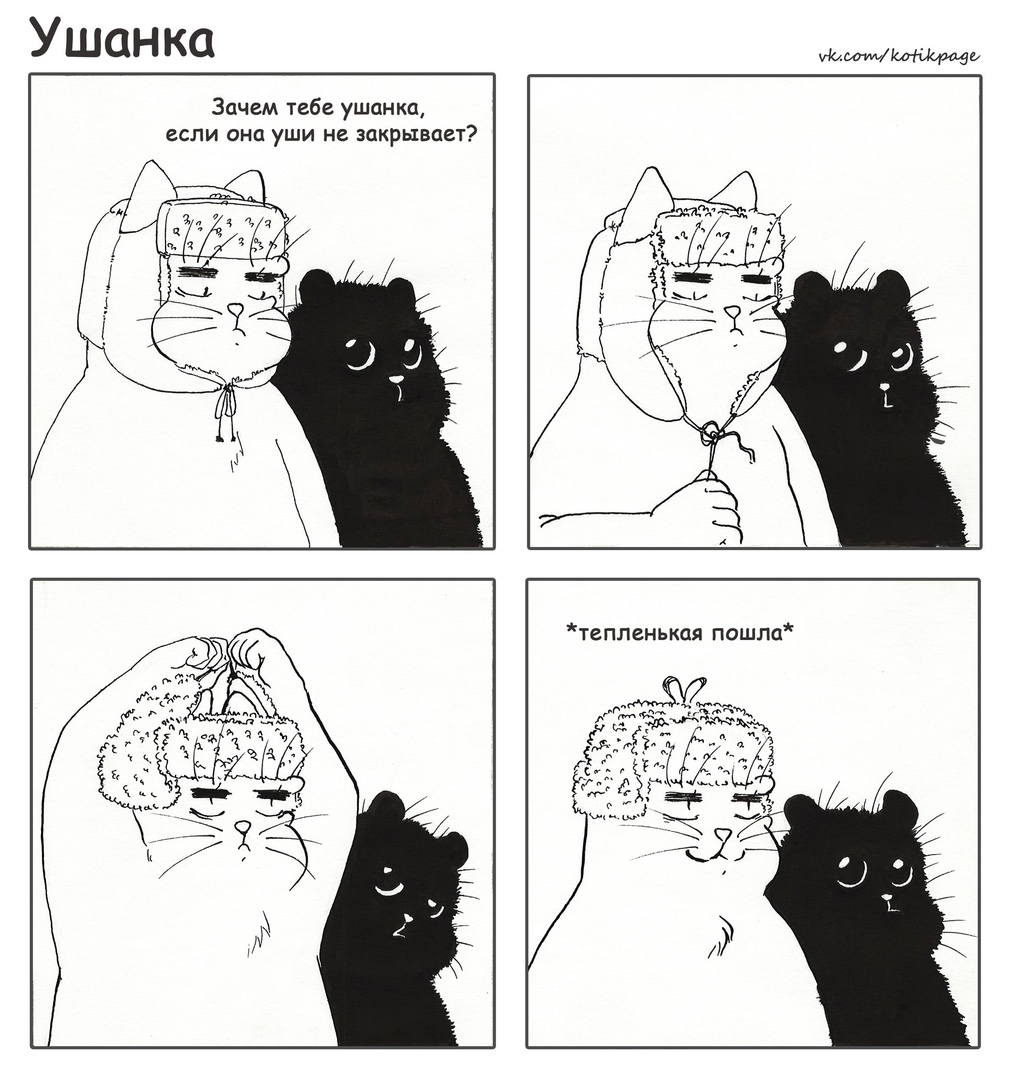 Take care of your ears - My, cat, Pandora, Comics, Hat with ear flaps, Winter, Cold, Ears, Humor