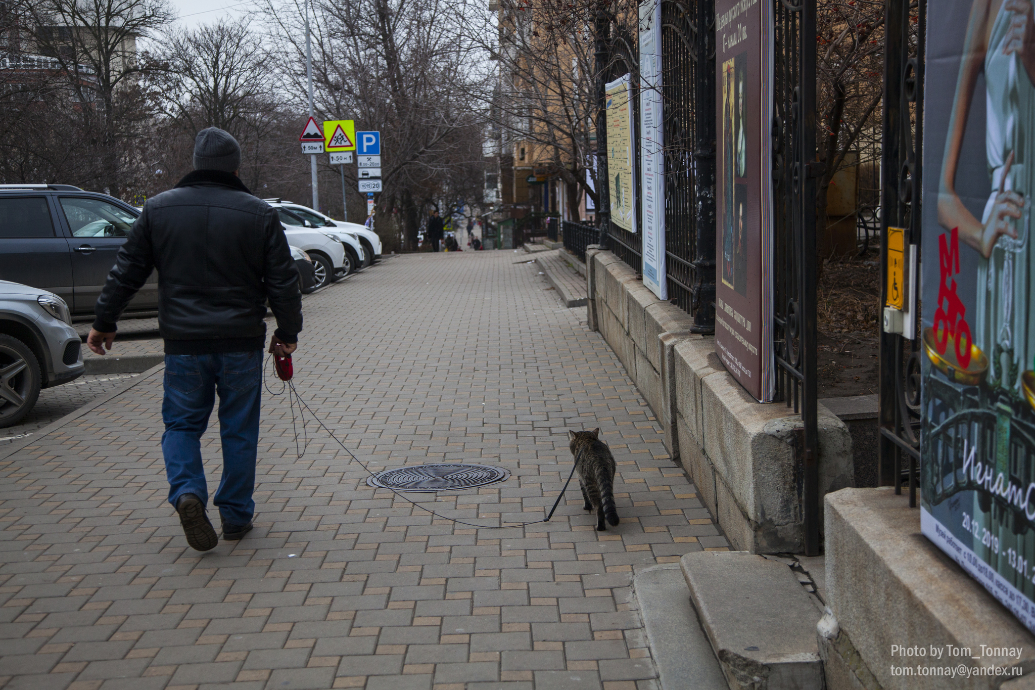 Walk around Rostov-on-Don - My, Rostov-on-Don, City walk, Fog, The street, cat, Architecture, Town, Travel across Russia, Longpost