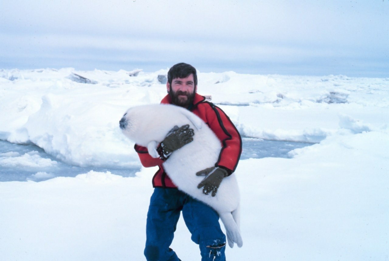 I'll get myself a seal... - Seal, Alaska, Pilot