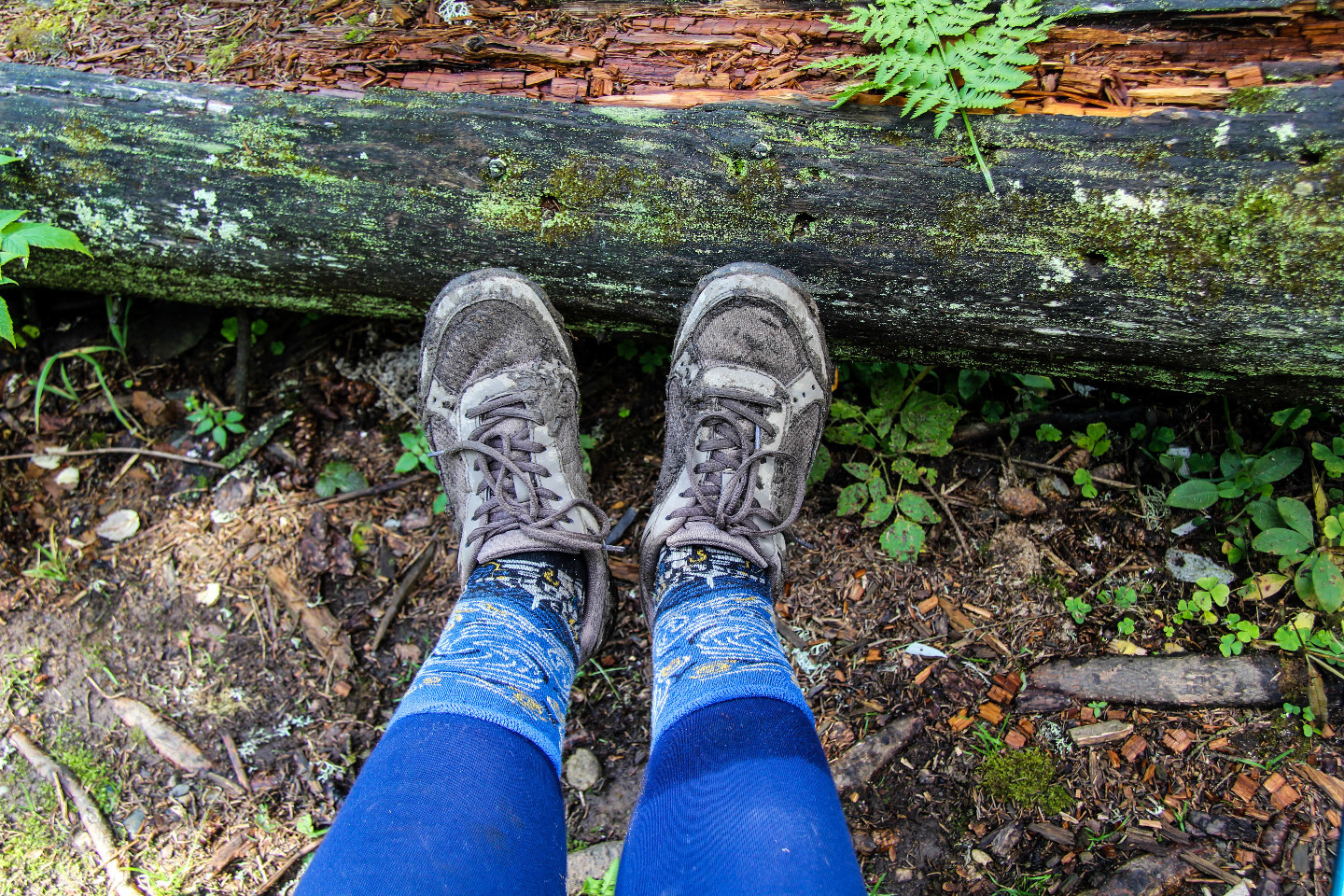 Climbing Big Iremel: how to go hiking in the Southern Urals in mid-August and not drown in the mud - My, Advice, Hike, Southern Urals, Big Iremel, Iremel, Bashkortostan, The mountains, Travels, Longpost