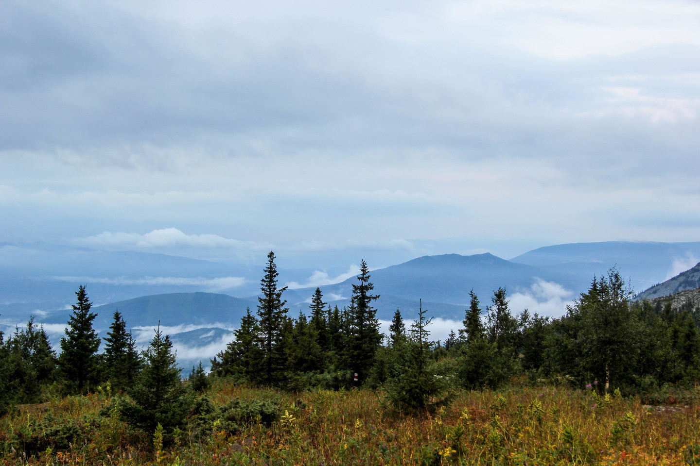 Climbing Big Iremel: how to go hiking in the Southern Urals in mid-August and not drown in the mud - My, Advice, Hike, Southern Urals, Big Iremel, Iremel, Bashkortostan, The mountains, Travels, Longpost