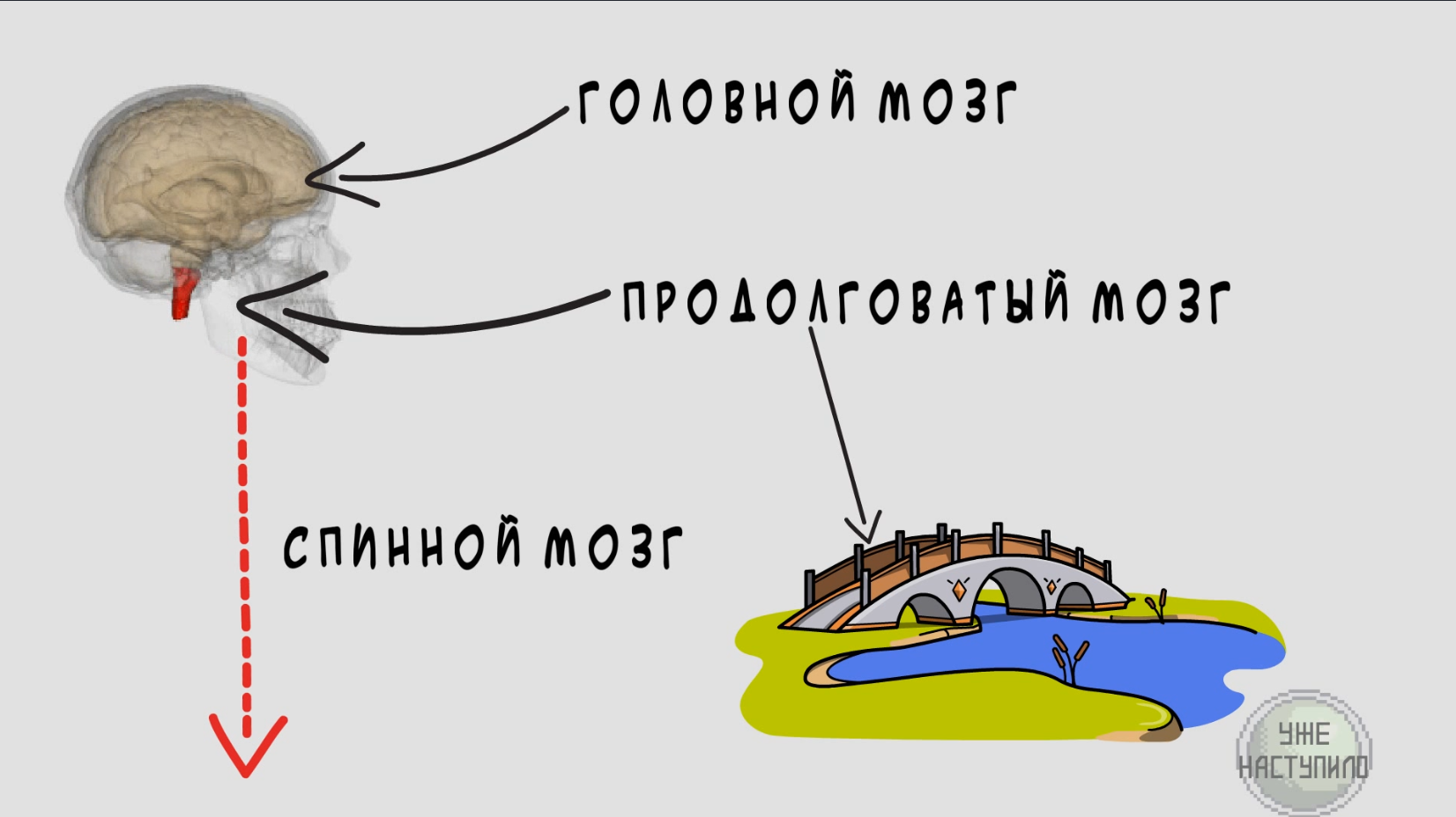 Сонный паралич. Что нужно человеку в шляпе? - Моё, Сонный паралич, Сон, Ночной кошмар, Видео, Длиннопост