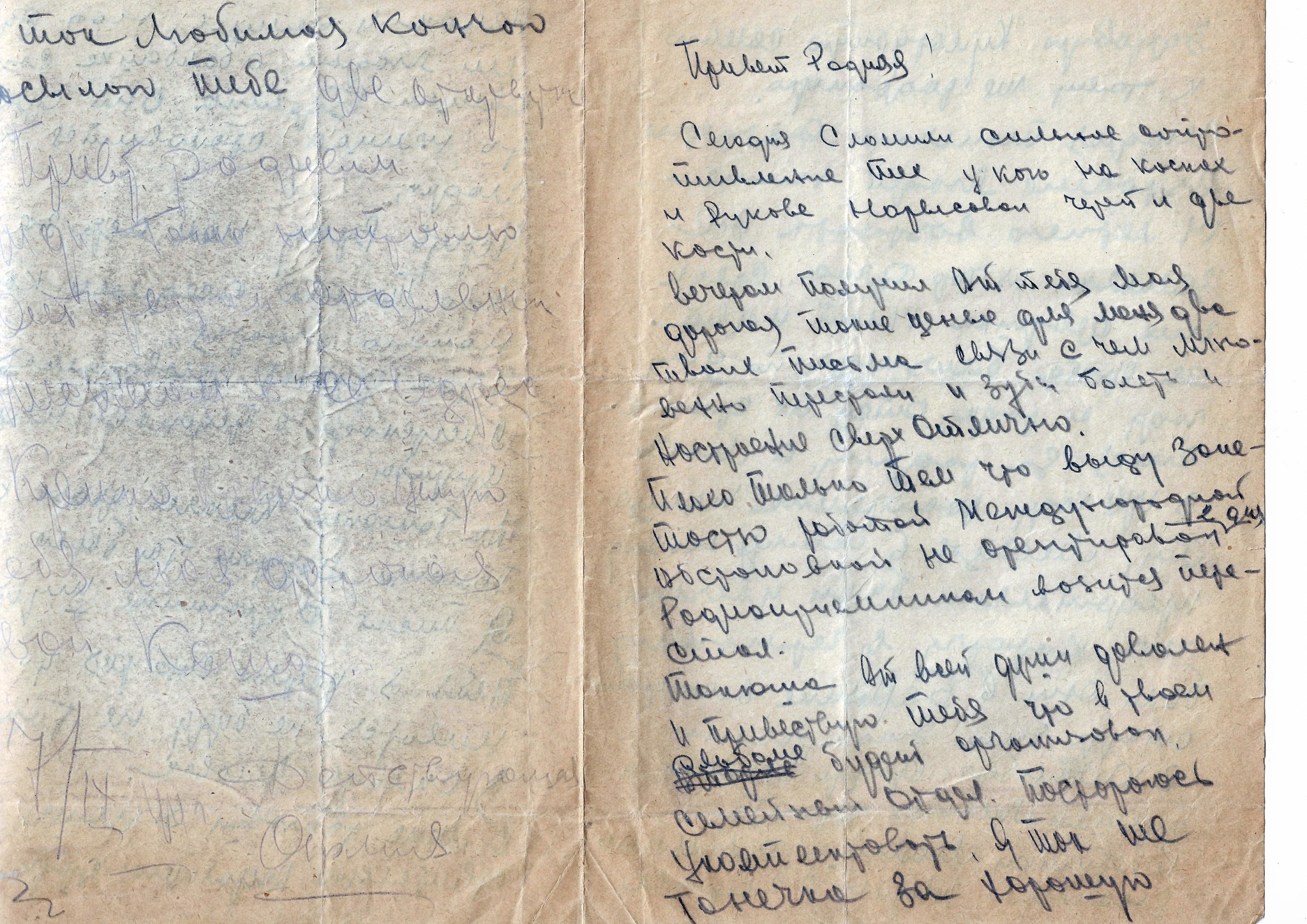 Front-line letter after the attack of the SS division Totenkopf - My, The Second World War, The Great Patriotic War, Longpost, SS troops